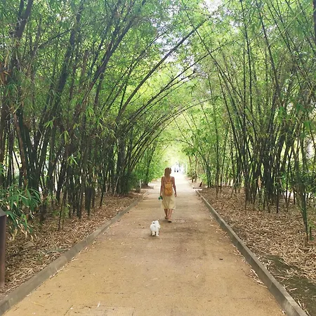 Home2book Center Retreat, Cruz 圣克鲁斯-德特内里费