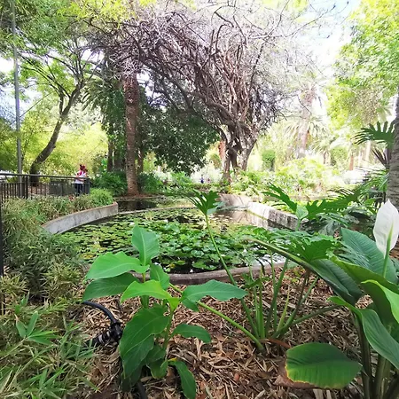 Home2book Center Retreat, Cruz 公寓 圣克鲁斯-德特内里费