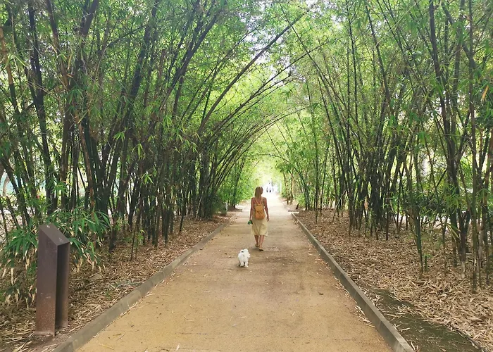 Home2book Center Retreat, Cruz 圣克鲁斯-德特内里费