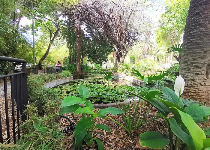 Home2book Center Retreat, Cruz 公寓 圣克鲁斯-德特内里费