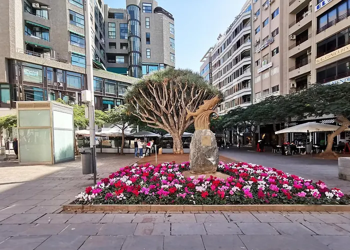 Home2book Center Retreat, Cruz * 圣克鲁斯-德特内里费